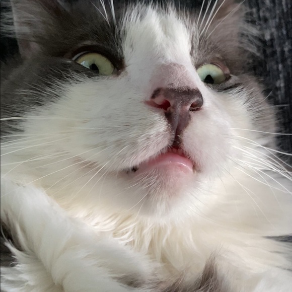 Meet your Posher Ambassador Kaili (Ky-Lee) - Picture 8 of 8